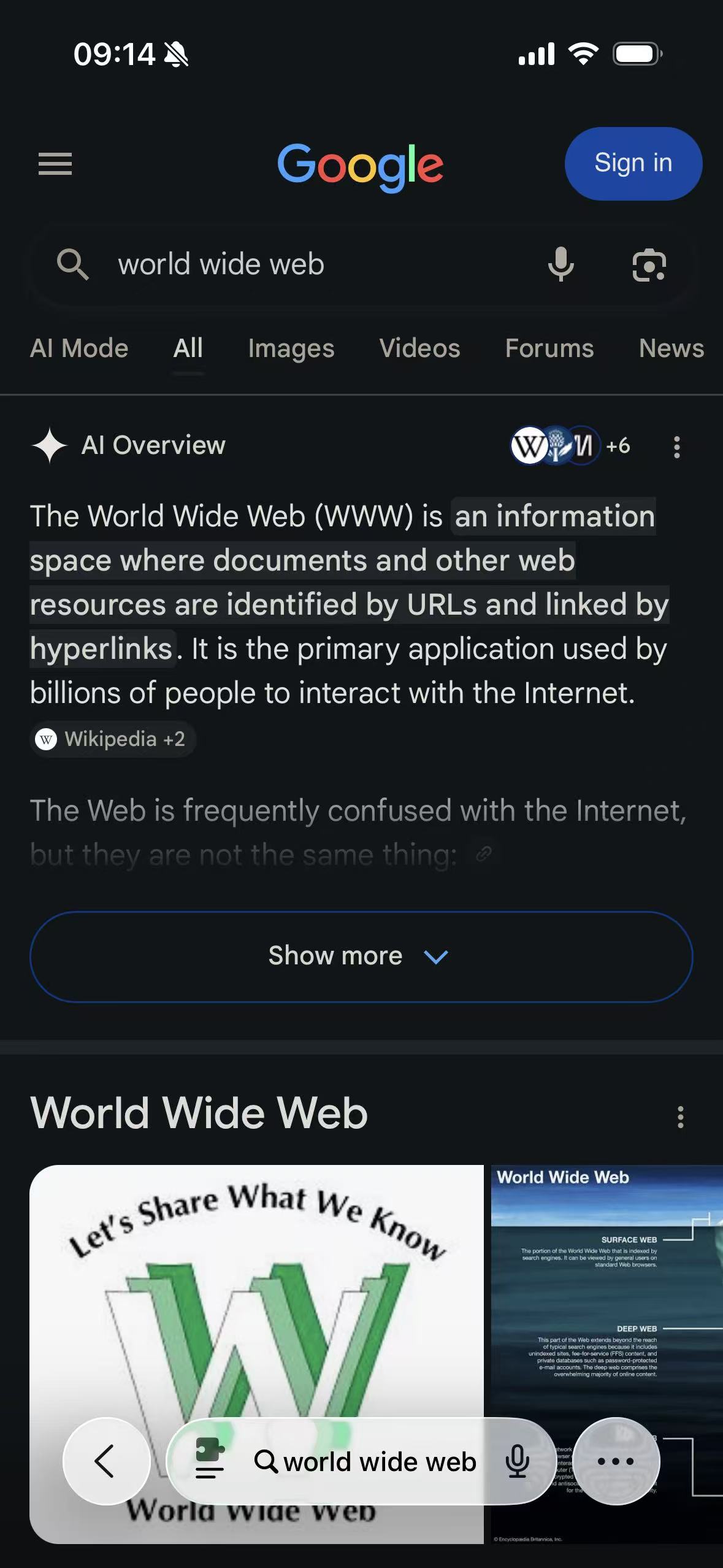 Google Search returned to Light and adapted by a Safari dark mode extension