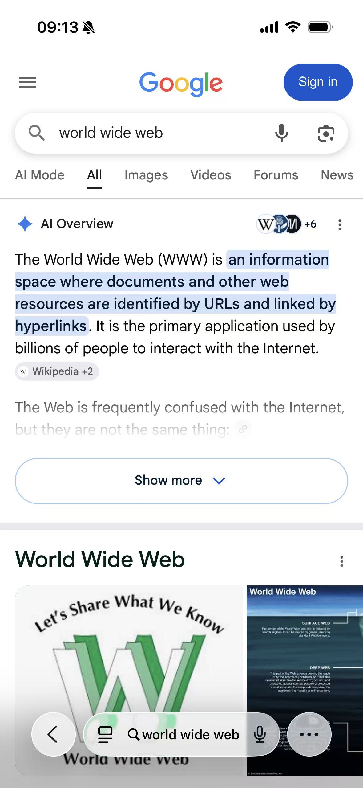The World Wide Web results page using Google Search's Light appearance in Safari on iPhone