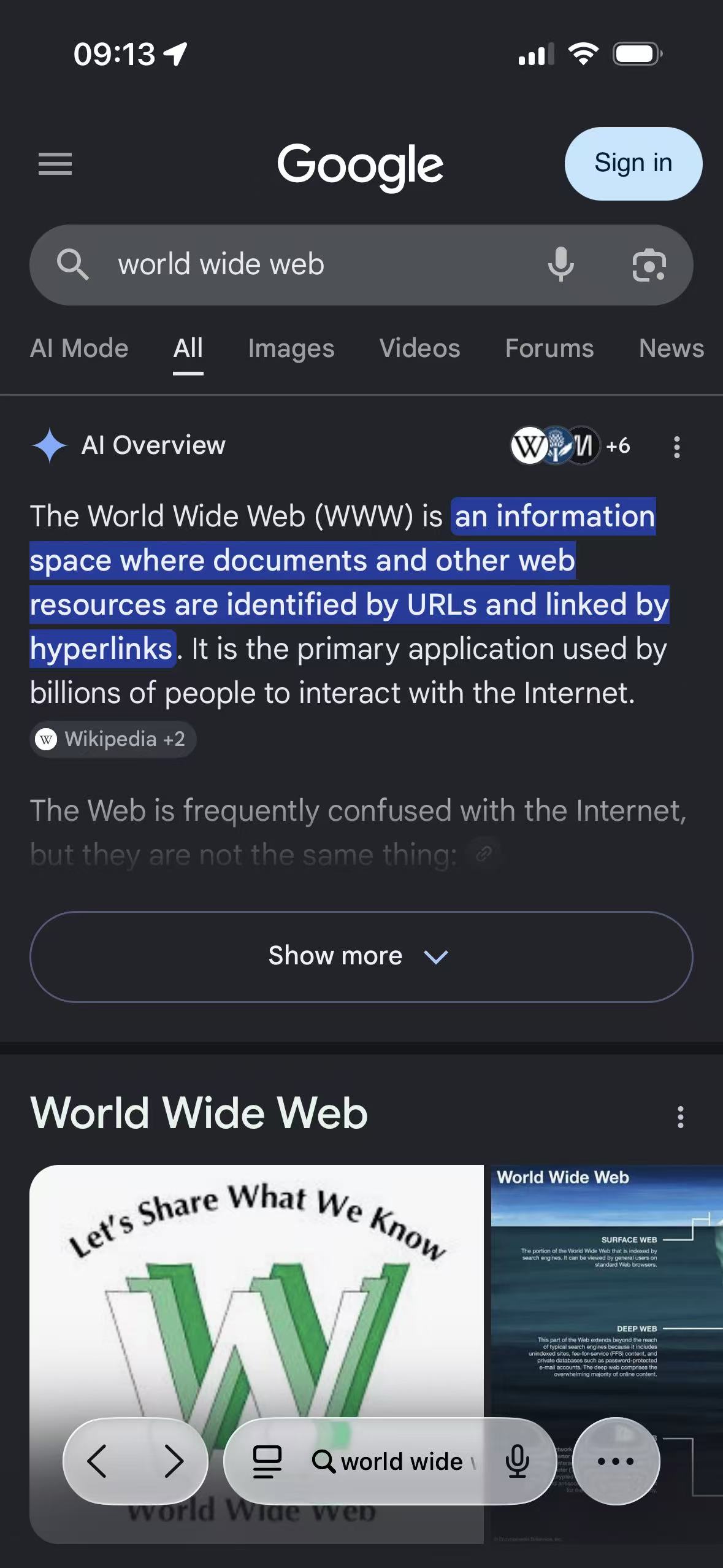 The same World Wide Web results page using Google Search's own Dark appearance in Safari on iPhone
